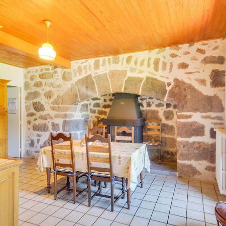 Beautiful Villa In The Parc Des Volcans D Auvergne Вік-сюр-Сер Екстер'єр фото