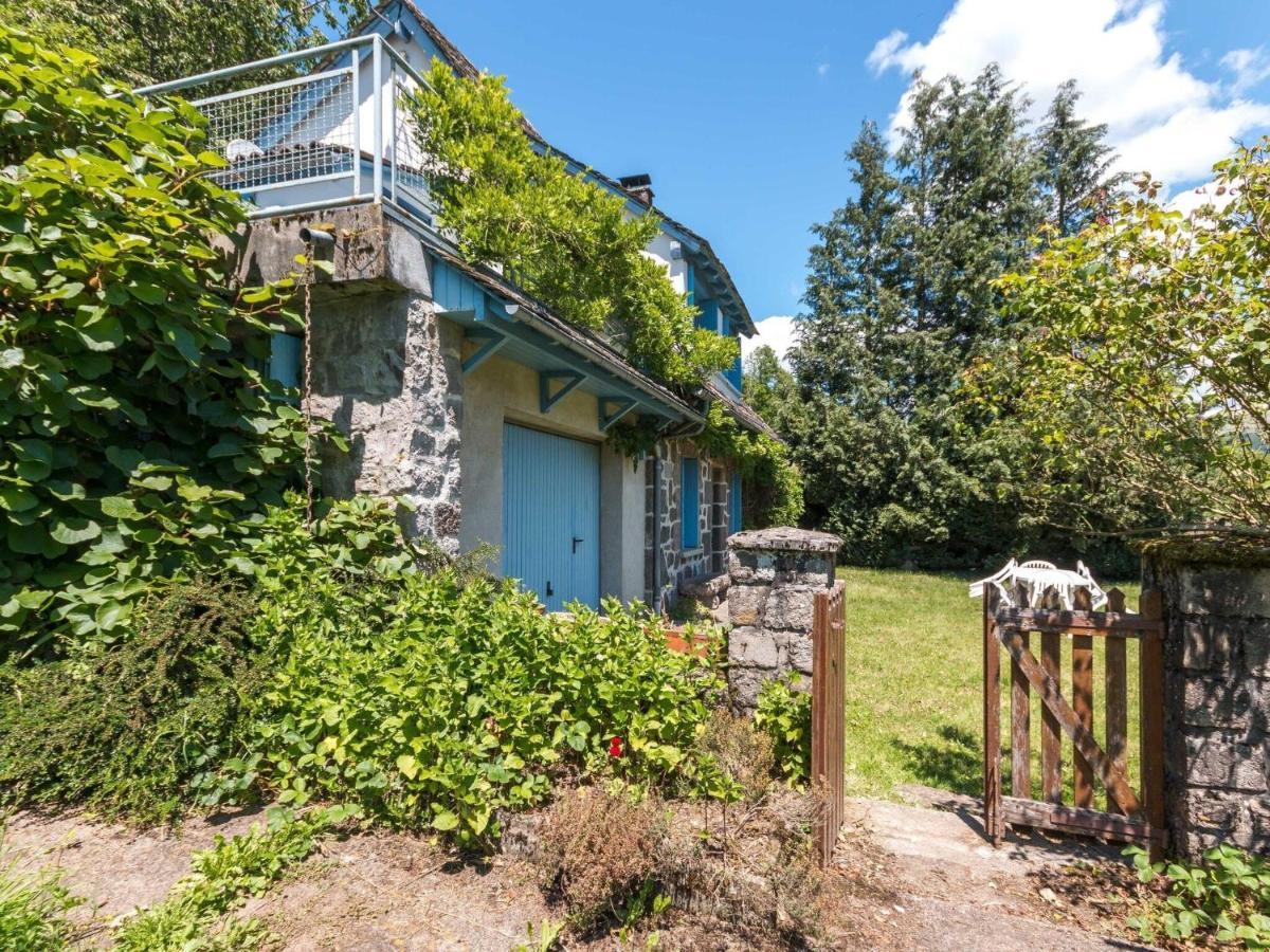 Beautiful Villa In The Parc Des Volcans D Auvergne Вік-сюр-Сер Екстер'єр фото