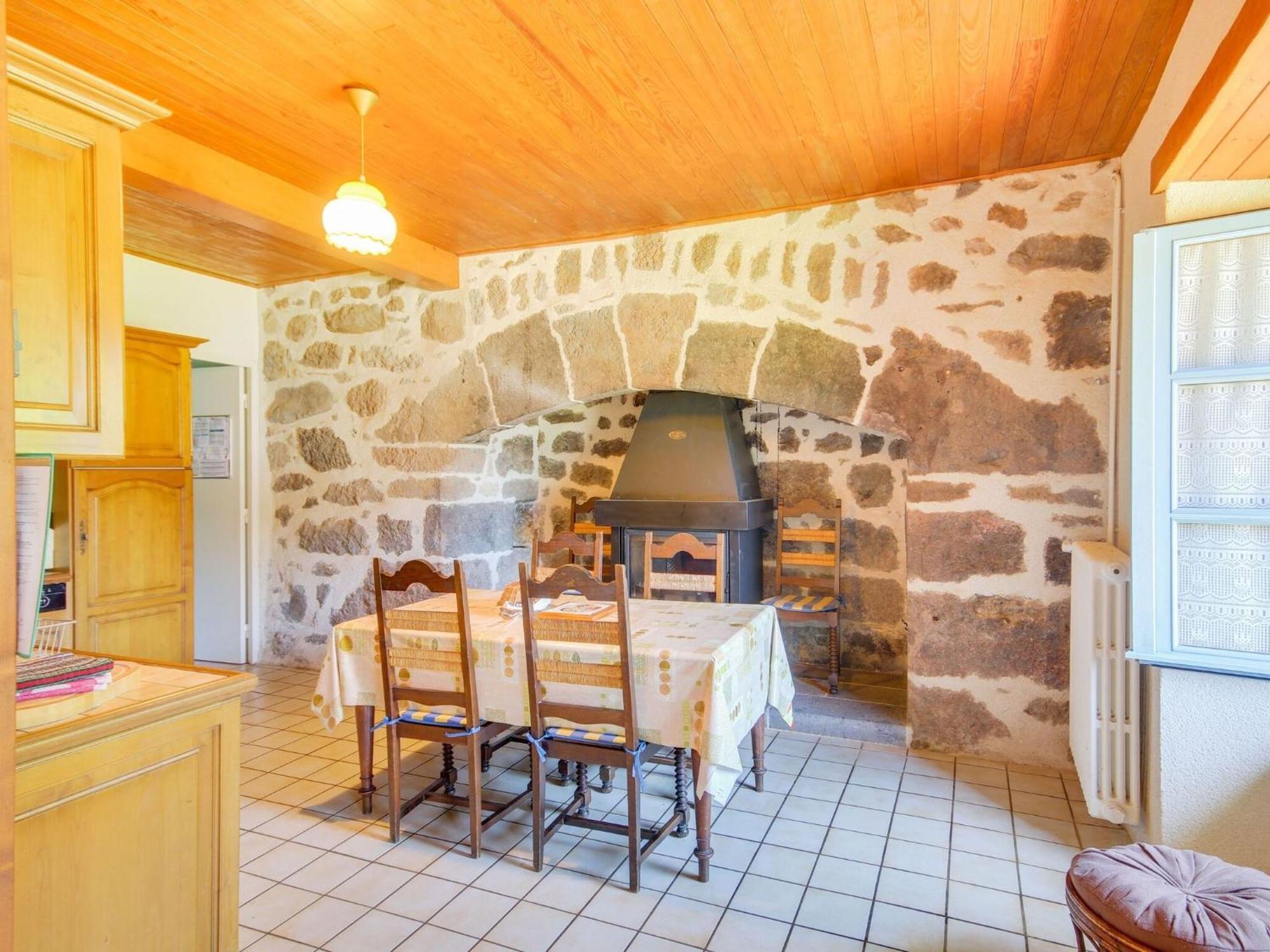 Beautiful Villa In The Parc Des Volcans D Auvergne Вік-сюр-Сер Екстер'єр фото