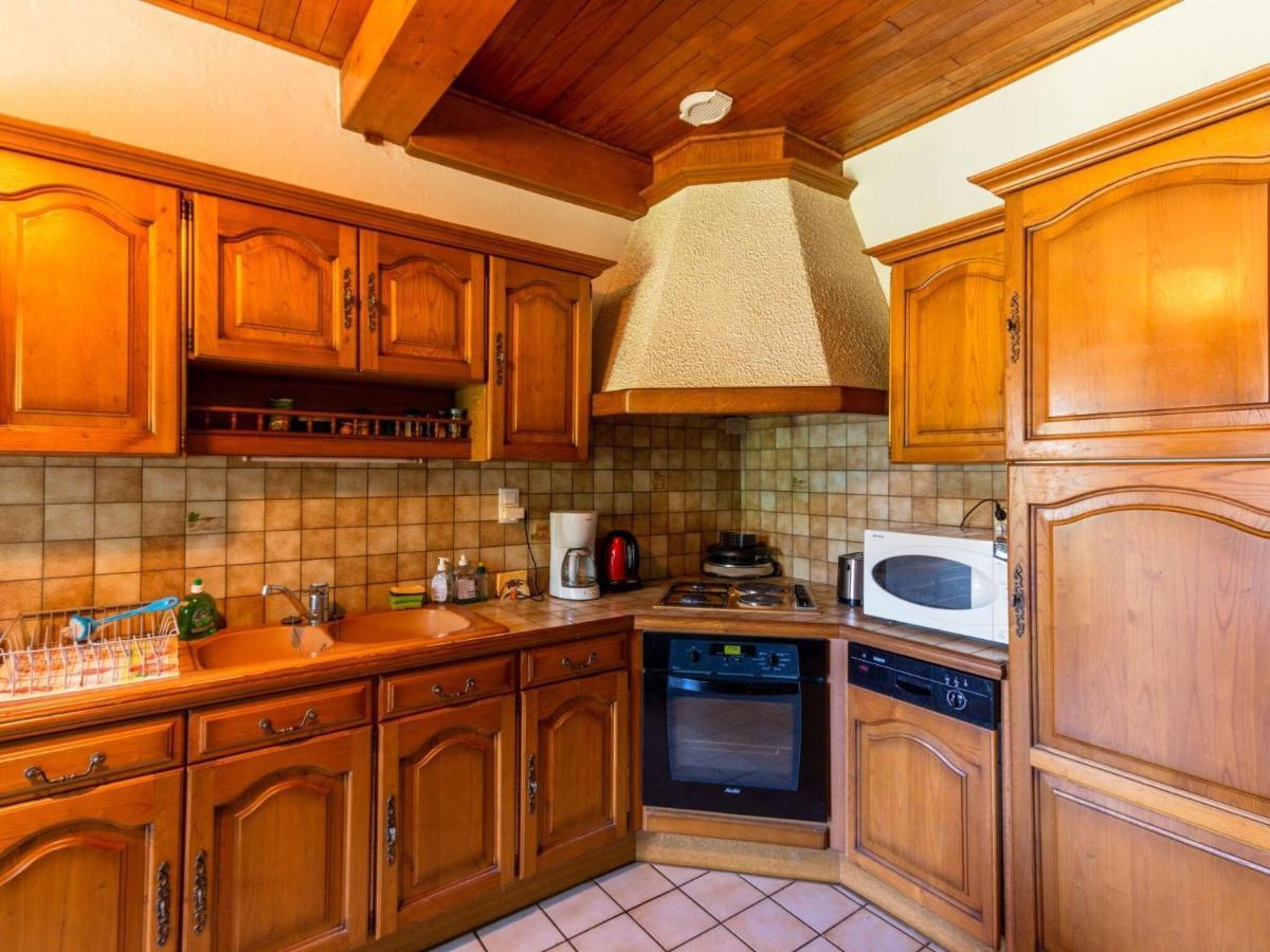 Beautiful Villa In The Parc Des Volcans D Auvergne Вік-сюр-Сер Екстер'єр фото