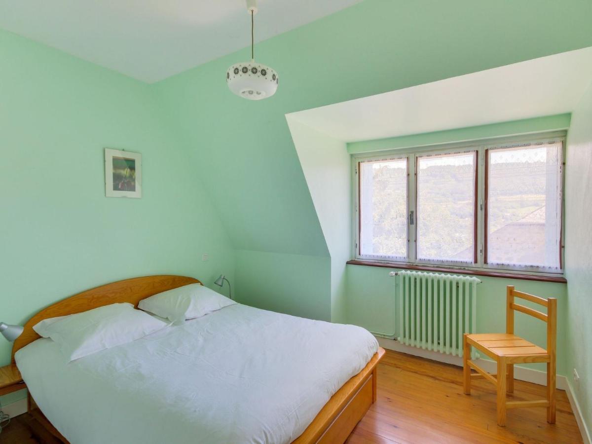 Beautiful Villa In The Parc Des Volcans D Auvergne Вік-сюр-Сер Екстер'єр фото
