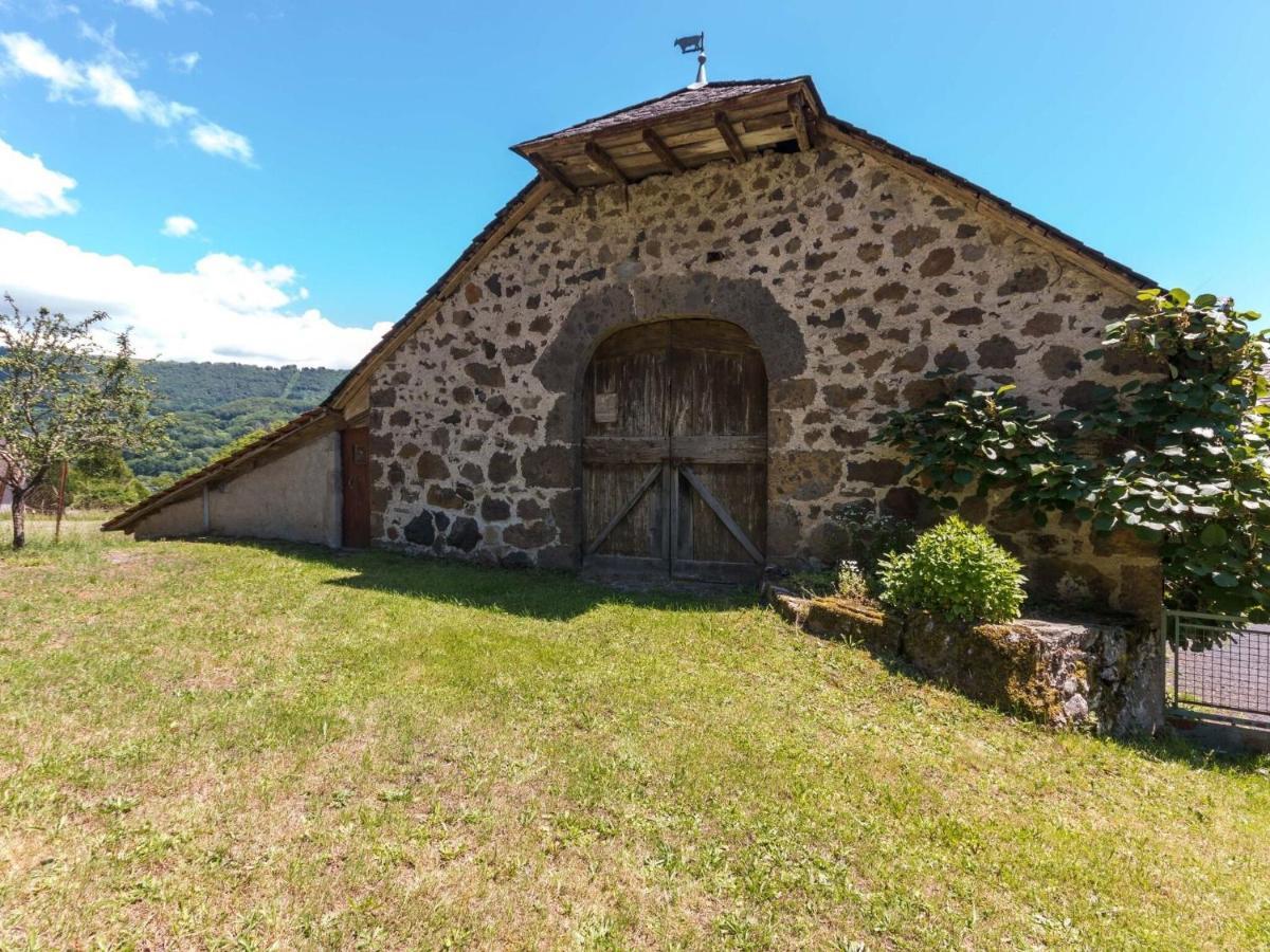 Beautiful Villa In The Parc Des Volcans D Auvergne Вік-сюр-Сер Екстер'єр фото