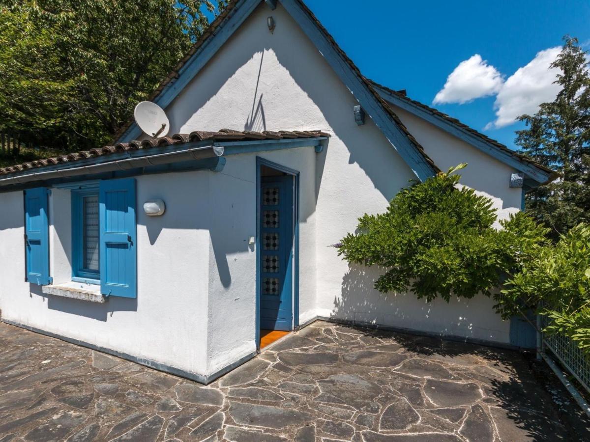 Beautiful Villa In The Parc Des Volcans D Auvergne Вік-сюр-Сер Екстер'єр фото