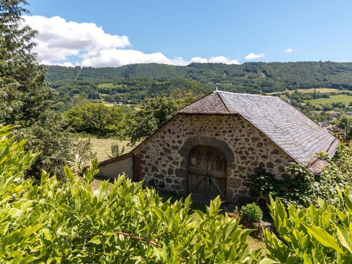 Beautiful Villa In The Parc Des Volcans D Auvergne Вік-сюр-Сер Екстер'єр фото