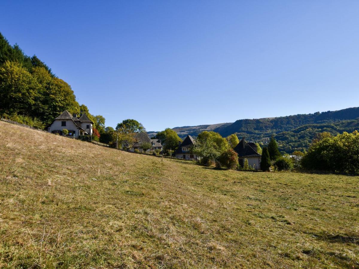 Beautiful Villa In The Parc Des Volcans D Auvergne Вік-сюр-Сер Екстер'єр фото