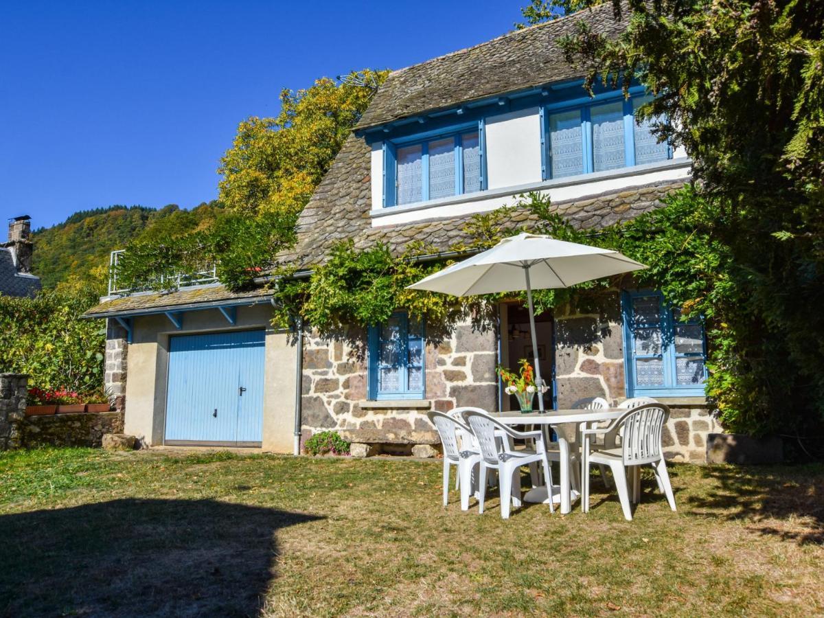 Beautiful Villa In The Parc Des Volcans D Auvergne Вік-сюр-Сер Екстер'єр фото