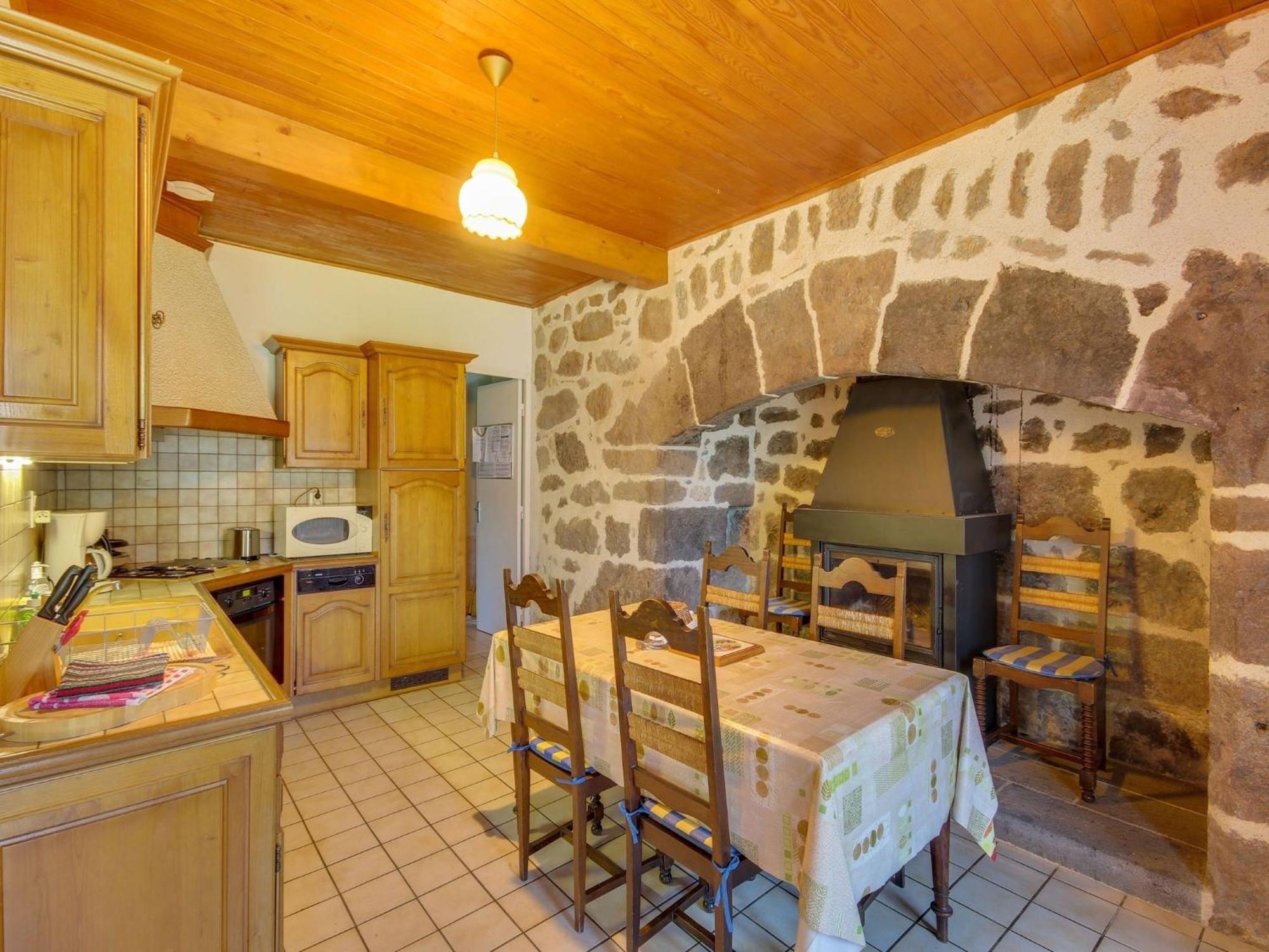 Beautiful Villa In The Parc Des Volcans D Auvergne Вік-сюр-Сер Екстер'єр фото