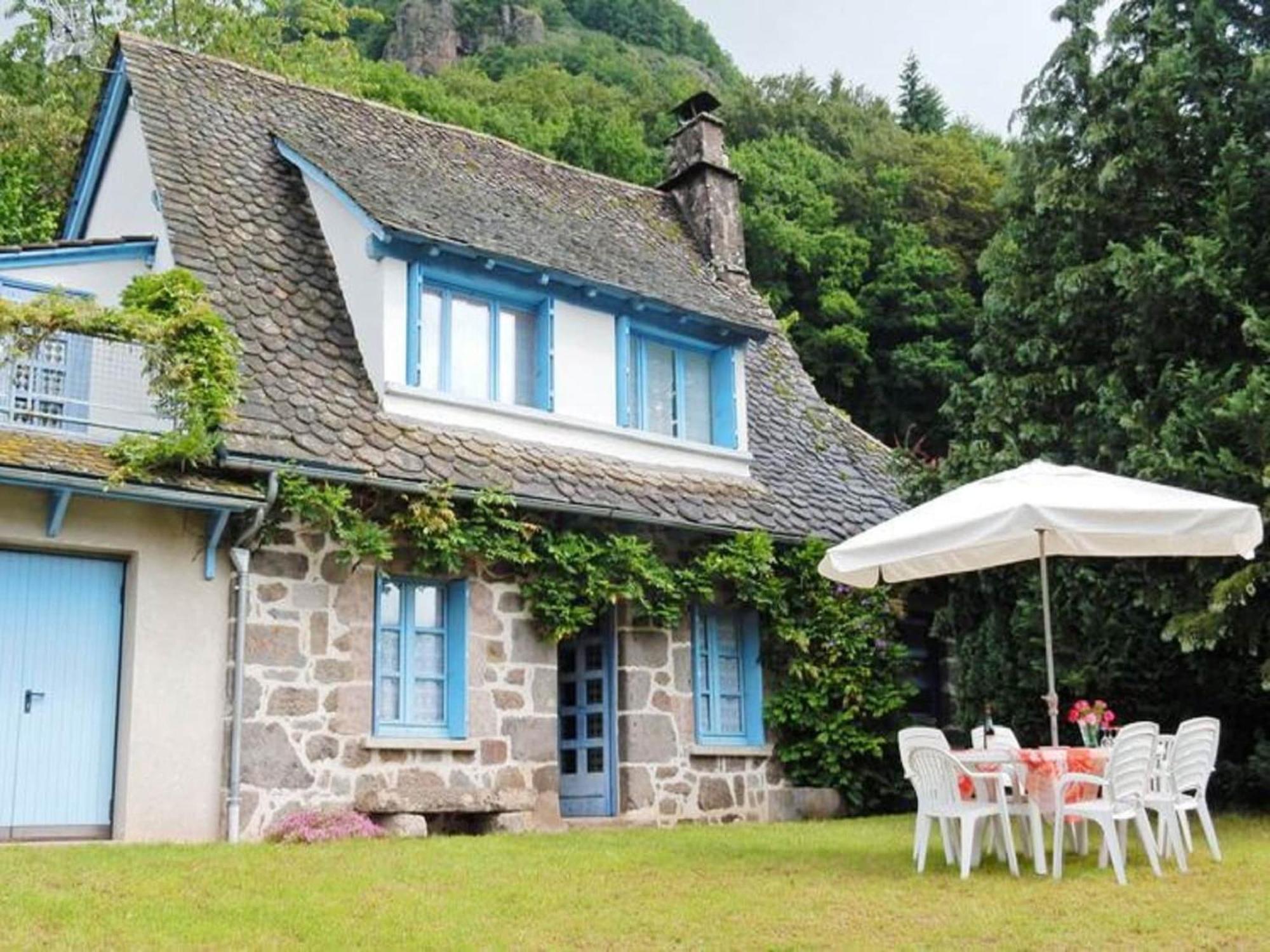 Beautiful Villa In The Parc Des Volcans D Auvergne Вік-сюр-Сер Екстер'єр фото